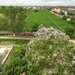 Bragadiru, comision 0%, duplex 4 camere cu priveliste in Cartierul Verde